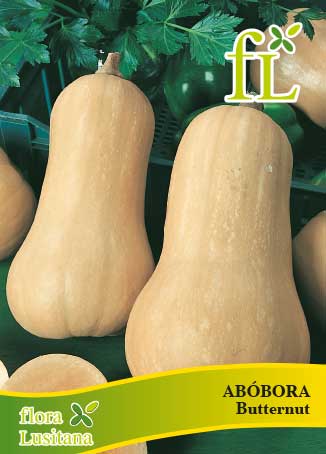 abóbora butternut 5g