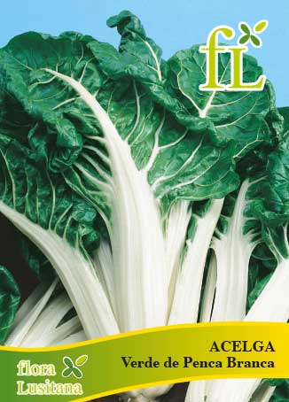 ACELGA WHITE SILVER 10g
