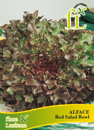 ALFACE RED SALAD BOWL 5g