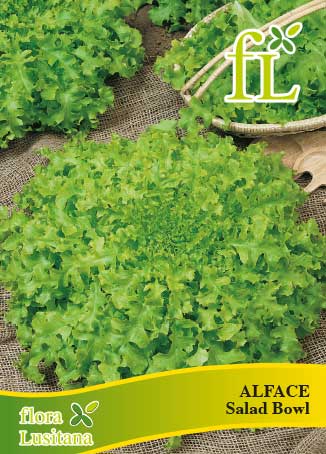 ALFACE SALAD BOWL 10 Grs
