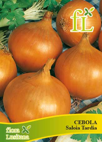 CEBOLA SALOIA Tardia 10g