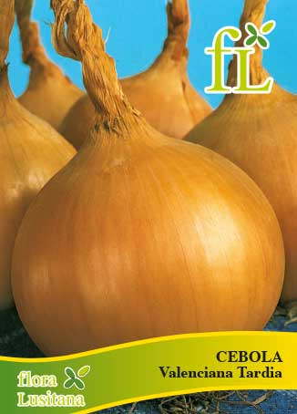 CEBOLA VALENCIANA TARDIA DE EXPORTACION 10g