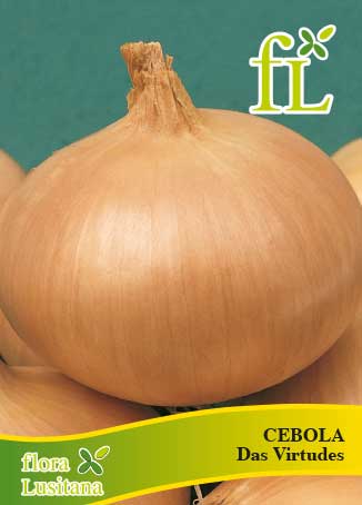 CEBOLA DAS VIRTUDES Temporã 10g