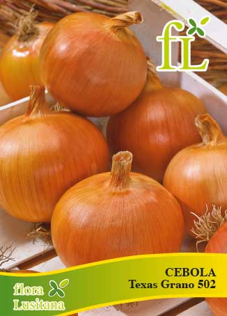 CEBOLA TEXAS GRANO 502 - 10g