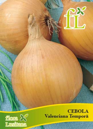 CEBOLA VALENCIANA TEMPRANA 10g