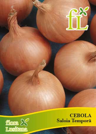 CEBOLA SALOIA Temporã 10g