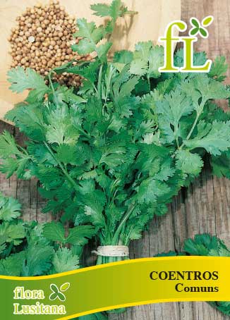 COENTROS COMUNS 10 Grs