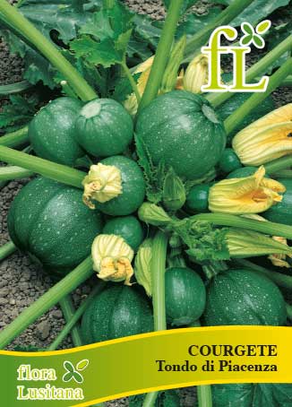 COURGETE TONDO DI PIACENZA 10g