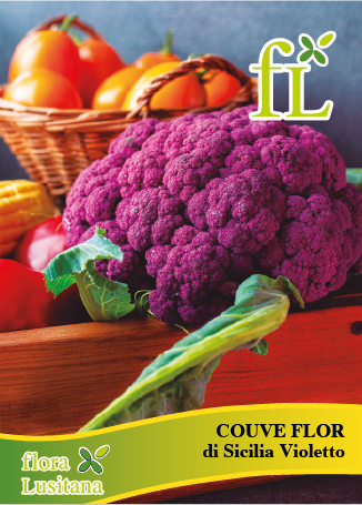COUVE FLOR DI SICILIA VIOLETTO *FL*