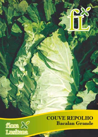 COUVE REPOLHO BACALAN GRANDE 10g