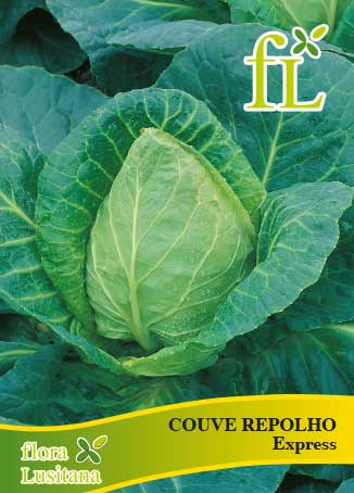COUVE REPOLHO EXPRESS 10g