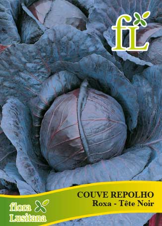 COUVE REPOLHO TÊTE NOIR 3 - 10g