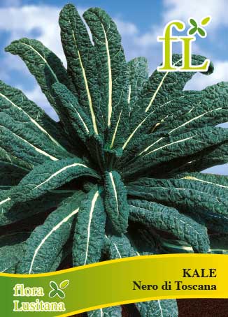 COUVE KALE NERO DI TOSCANA 10g