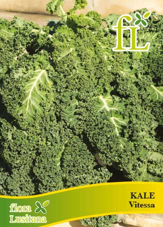COUVE KALE VITESSA 10 Grs