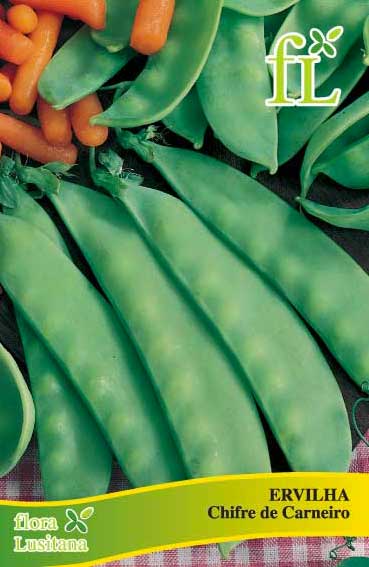 ERVILHA CORNE DE BÉLIER  100g