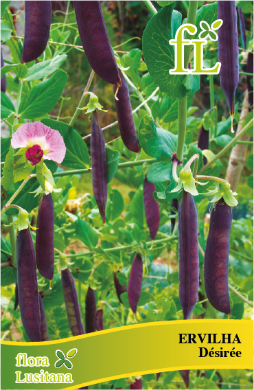 ERVILHA DÉSIRÉE 100 Grs