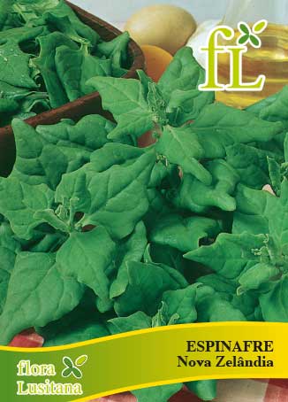 ESPINAFRE NOVA ZELÂNDIA 10g