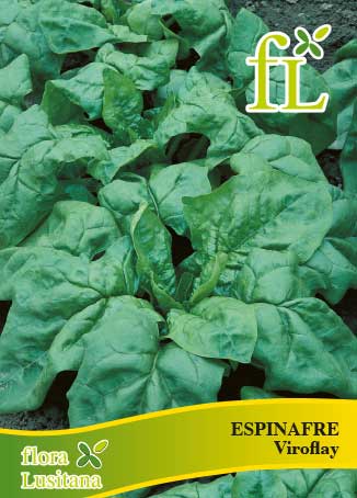 ESPINAFRE VIROFLAY 10g