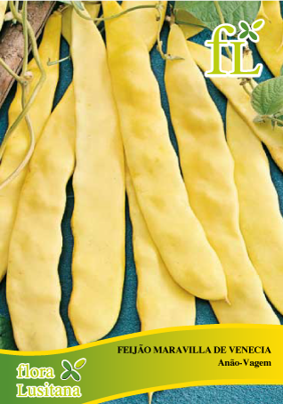 FEIJÃO MARAVILLA VENECIA Anão-Vagem 100g