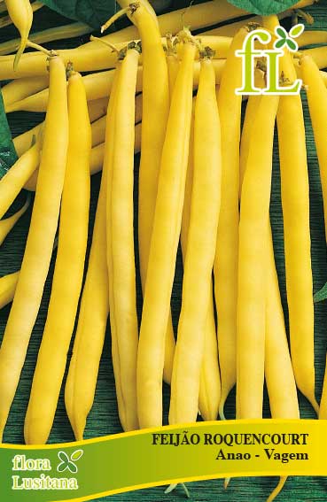 FEIJÃO ROCQUENCOURT Anão-Vagem 100g