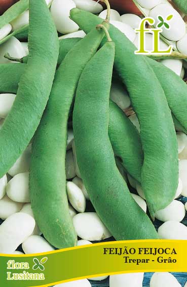 FEIJÃO FEIJOCA CORONA Trepar-Grão 100g