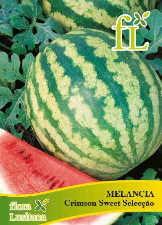 MELANCIA CRIMSON SWEET SELEÇÃO 5g