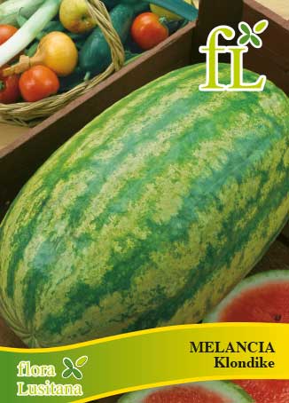 MELANCIA KLONDIKE RS 57 10g
