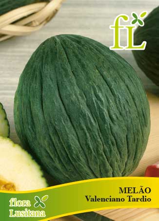 MELÃO VALENCIANO TARDIO 10 Grs
