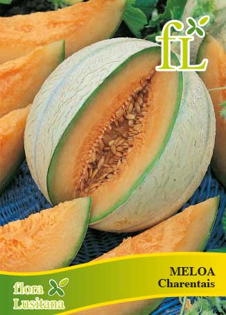 MELOA CHARENTAIS 10g