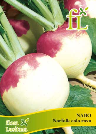 NABO NORFOLK CUELLO VIOLETA 25g