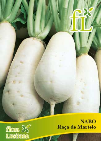 NABO DES VERTUS MARTEAU 25g