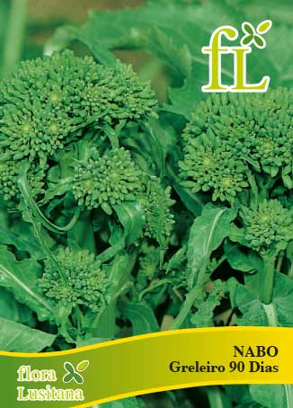 NABO GRELEIRO 90 DIAS 25g