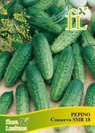 PEPINO WISCONSIN SMR 58 10g
