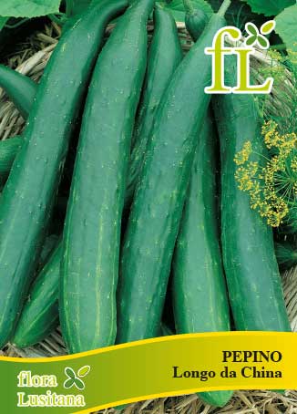 PEPINO LONGO DA CHINA 10g