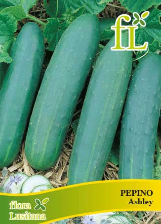 PEPINO ASHLEY 10g