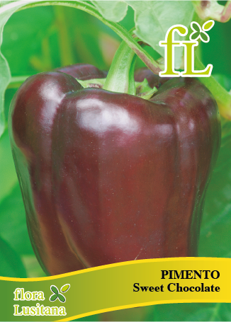 PIMENTO SWEET CHOCOLATE *FL*