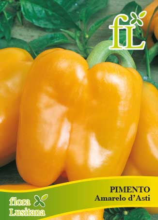PIMENTO QUADRATO D´ASTI GIALLO *FL*