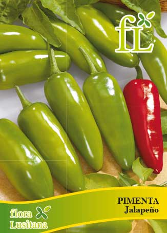 PIMENTA JALAPEÑO FL