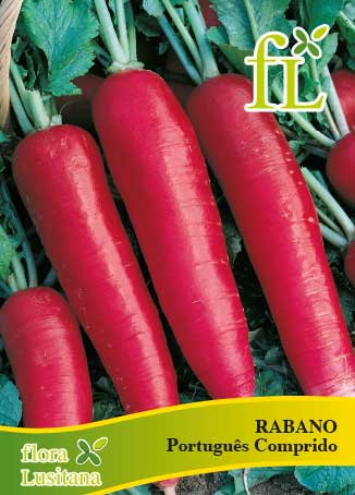 RÁBANO LONG SCARLET 10g