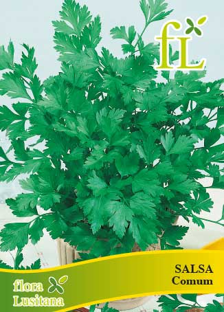 SALSA COMMUN 2 - 10g
