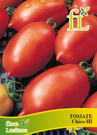 TOMATE CHICO ROSSO 5g
