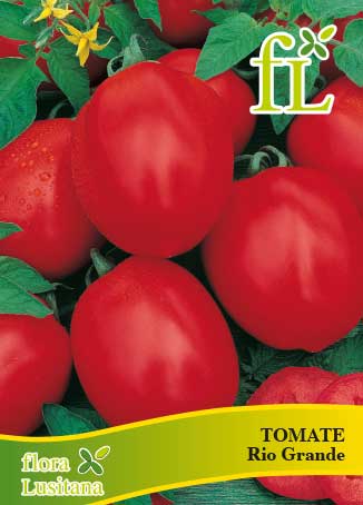 TOMATE RIO GRANDE *FL*