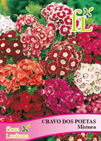 CRAVO DOS POETAS MISTURA *FL*