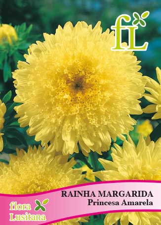 RAINHA MARG. PRINCESA AMARELA *FL*