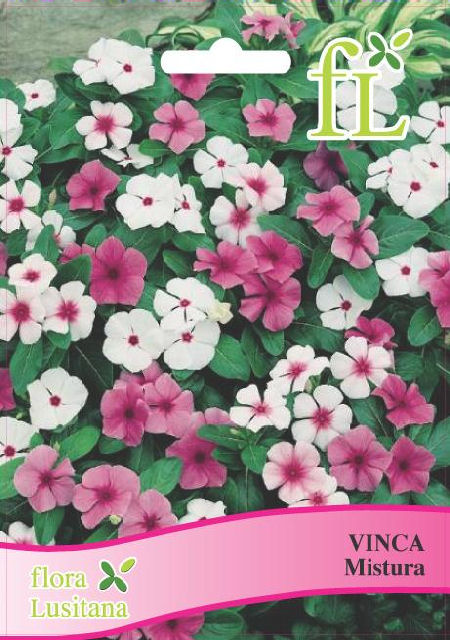VINCA MISTURA *FL*