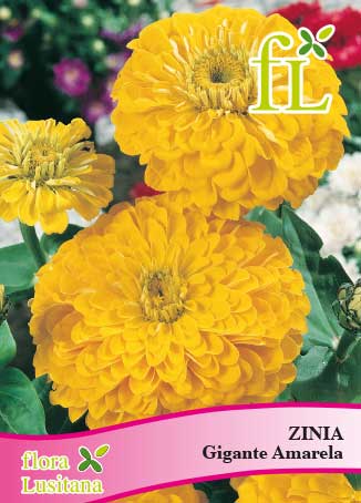 ZINIA GIGANTE AMARELA *FL*