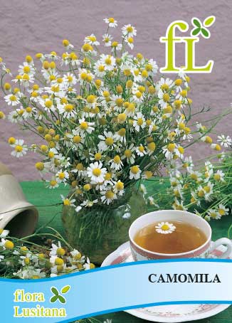 camomila *fl*