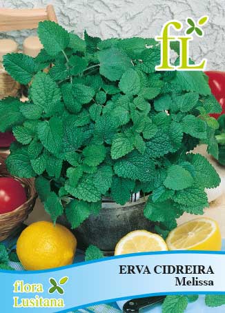 ERVA CIDREIRA - MELISSA *FL*