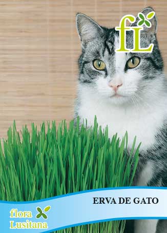 ERVA DE GATO *FL*