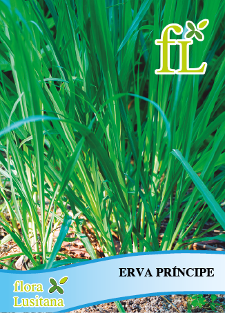 ERVA-PRÍNCIPE *FL*